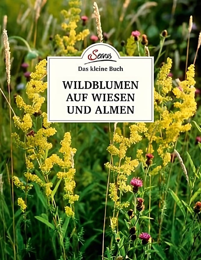 Das kleine Buch: Wildblumen auf Wiesen und Almen von Servus Verlag