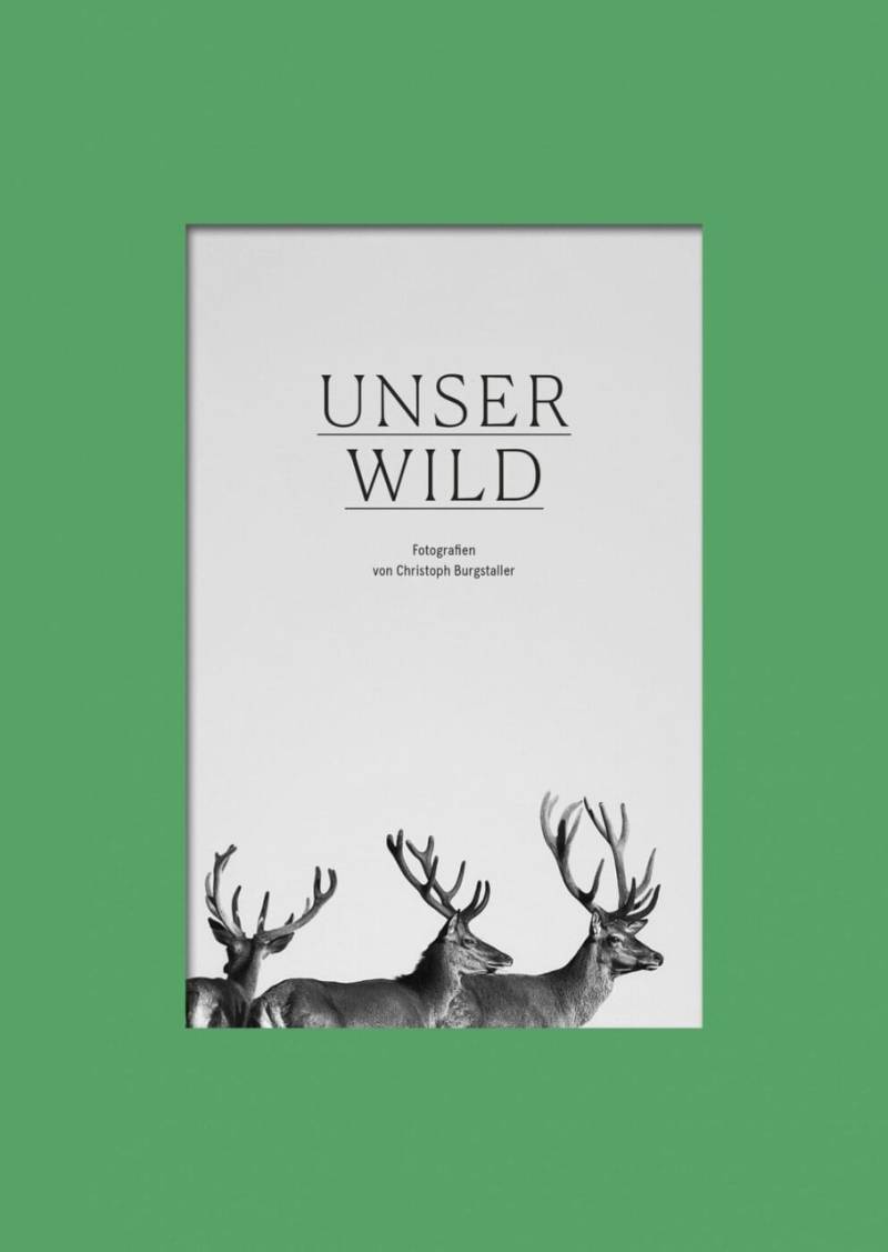 Unser Wild von Servus Verlag