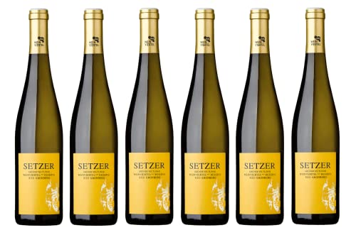 6x 0,75l - 2023er - Setzer - Ried Kronberg - Grüner Veltliner - Weinviertel DAC Reserve - Österreich - Weißwein trocken von Setzer