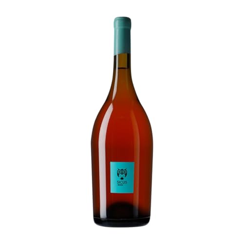 Sicus Àmfora Malvasía de Sitges Penedès Magnum-Flasche 1,5 L Weißwein von Sicus Celler