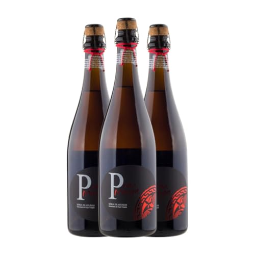 Cidre Viuda de Angelón Prau Monga Brut Sidra de Asturias Reserve 75 cl (Karton mit 3 Flaschen von 75 cl) von Sidra Viuda de Angelón