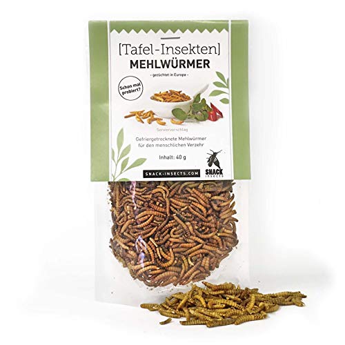 Mehlwürmer 40g - essbare Insekten von 'SNACK insects' - Insekten zum Essen von SNACK insects