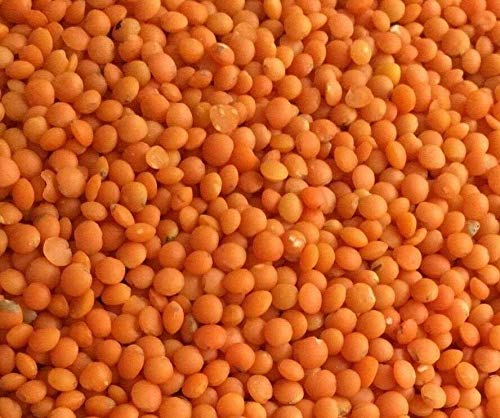 Soleilfood Rote Linsen 10 kg Red Lentils Mercimek Hülsenfrüchte feinste Qualität von SoleilFOOD