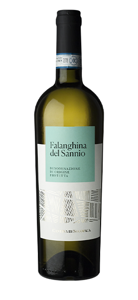 Falanghina del Sannio DOP 2022 von Solopaca