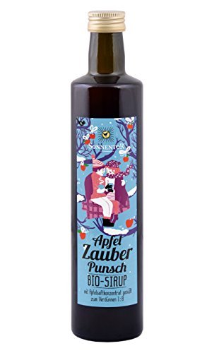 Sonnentor Apfelzauber Punsch-Sirup, 1er Pack (1 x 500 ml) - Bio von Sonnentor