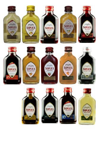 Soplica Probierset Minis | 14 Soplica Wodkas/Liköre in der Probiergröße | je 0,1 Liter von Soplica