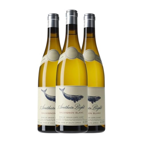 Southern Right Sauvignon Weiß Hemel-en-Aarde Ridge 75 cl Weißwein (Karton mit 3 Flaschen von 75 cl) von Southern Right