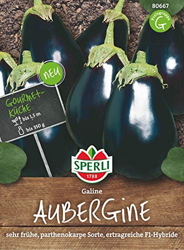 Aubergine Galine F1, sehr frühe ertragreiche Sorte (selbstbefruchtend), für Freiland und Gewächshaus von Sperli