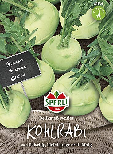 Kohlrabi Delikateß weißer von Sperli