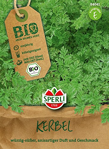 Kräutersamen - Bio-Kerbel Fijne Krul - Bio-Saatgut von Sperli-Samen von Sperli