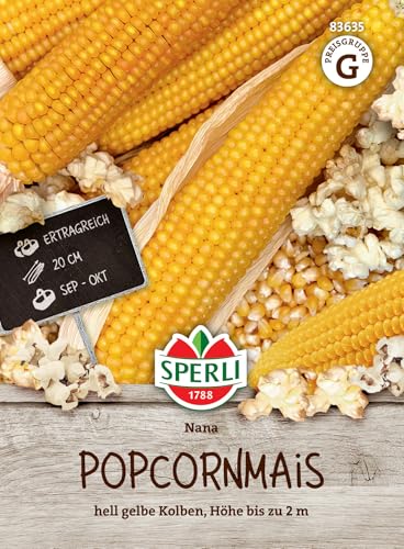 Maissamen - Mais (Popcornmais) Nana von Sperli-Samen von Sperli