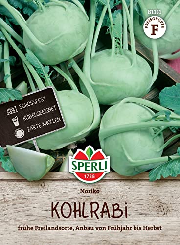 Sperli 81151, Kohlrabi Noriko, frühe Freilandsorte, schoßfest, Kübelgeeignet, Portionssaatgut von Sperli