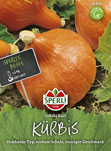 Sperli 81420 Kürbis Uchiki Kuri (Kürbissamen) von Sperli