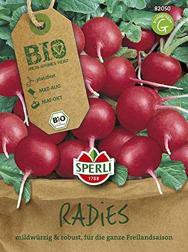 Sperli 82050 Radieschen Cherry Belle (Bio-Radieschensamen) von Sperli