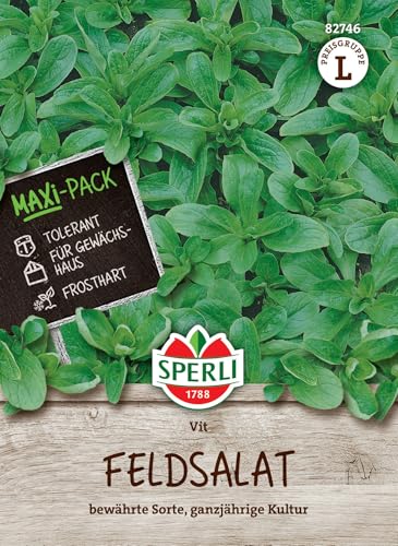 Sperli 82746 Feldsalat (Rapunzel) Vit (MaxiPack) (Salatsamen) von Sperli