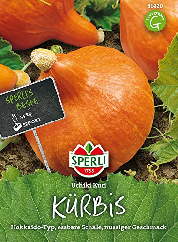 Sperli Hokkaidokürbis Uchiki Kuri, F1 | essbare Schale | japanische Züchtung | 1 Packung Samen von Sperli