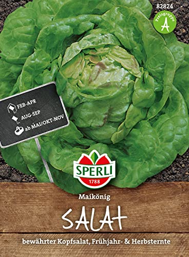 Sperli-Samen Kopfsalat Maikönig von Sperli