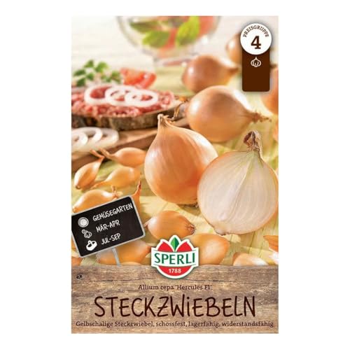 Sperli Steckzwiebel 'Herkules®', gelb, 65 Stück, ca. 200 g von Sperli