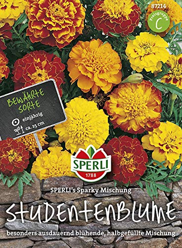 Studentenblume Sparky, Mischung von Sperli-Samen von Sperli