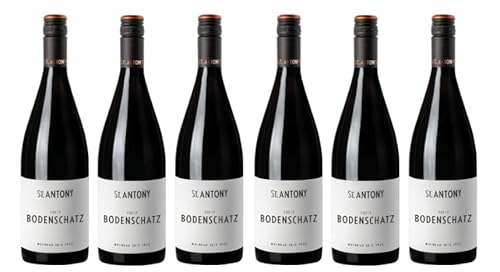 6x 0,75l - 2022er - St. Antony - Bodenschatz - Cuvée Rot - Qualitätswein Rheinhessen - Deutschland - Rotwein trocken von St. Antony