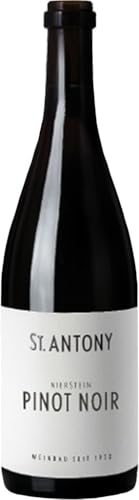 St. Antony Nierstein Pinot Noir QbA trocken 2022 (1 x 0.75 l) von St. Antony