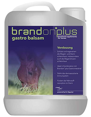 St. Hippolyt Brandon Plus Gastro Balsam 2,5 Liter von St. Hippolyt