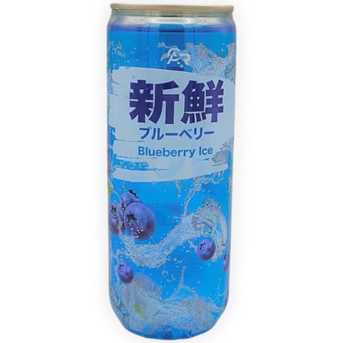Fresh Blueberry Ice 330ml Erfrischungsgetränk von Steam-Time