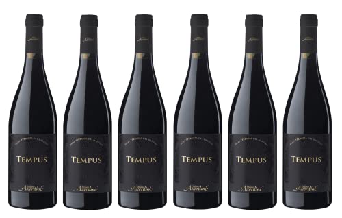 6x 0,75l - 2022er - Stefano Accordini - Tempus - Rosso - Veneto I.G.P. - Italien - Rotwein trocken von Stefano Accordini