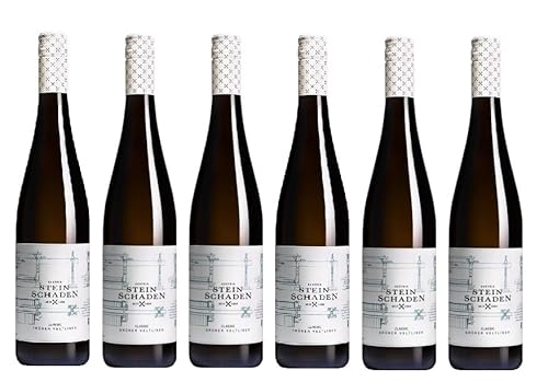 6x 0,75l - 2023er - Steinschaden - Grüner Veltliner - Classic - Niederösterreich - Österreich - Weißwein trocken von Steinschaden