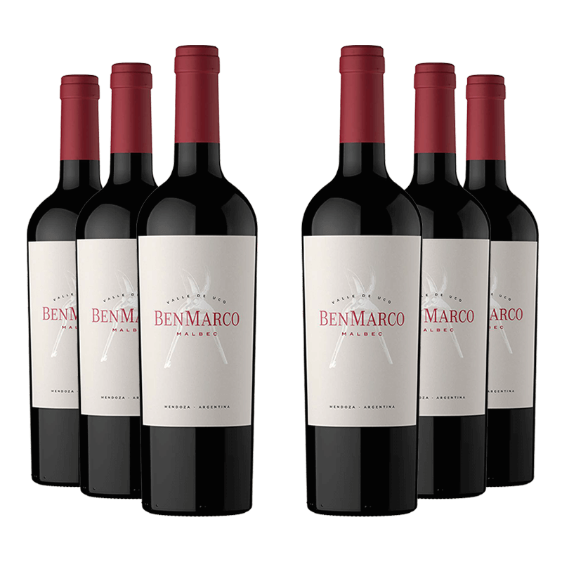 Susana Balbo : BenMarco Malbec 2022 von Susana Balbo