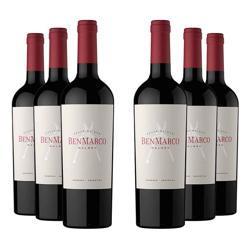 Susana Balbo : BenMarco Malbec 2022 von Susana Balbo