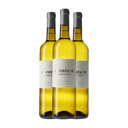 Susana Esteban Aventura Branco Alentejo 75 cl Weißwein (Karton mit 3 Flaschen von 75 cl) von Susana Esteban