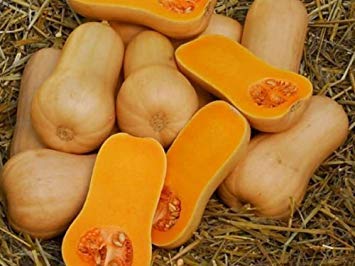 25 WALTHAM BUTTERNUT SQUASH 2018 (alle Gemüsesamen, die kein GVO-Erbstück sind!) von SwansGreen