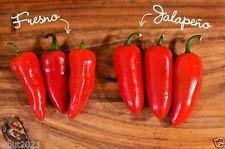 30 Fresno Chili Pepper Samen (bio) Ähnlich wie der Jalapeno, aber viel heißer von SwansGreen