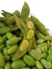 edamame, MOJO, GREEN sushi SOYBEAN, 10 samen! GroCo von SwansGreen