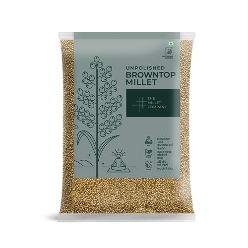 The Millet Company Unpolished Browntop Millet, Korale, Gluten Free, Natural Farm Produce, High Fiber Millets, Healthy Food Alternatives Raw & Grown in India (0.5 kg) von THE MILLET COMPANY