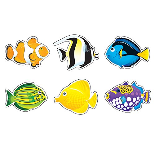 Fish Mini Accents Variety Pack, 36 ct von TREND ENTERPRISES INC.