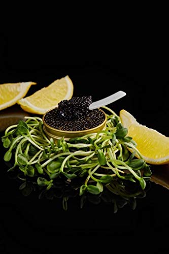 500 g Schwarzer Störkaviar | Sibirischer Stör | Acipenser baerii | Fischkaviar | Malossol-Kaviar | Schwarzer Kaviar | Marke - TSARINE Caviar | Kostenlose Express-Kühllieferung von TSARINE Caviar