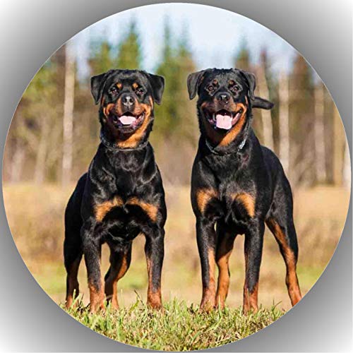 Premium Esspapier Oblate Tortenbild, Essbares Foto für Torten, Tortenaufleger Ø 20cm Rottweiler T1 von Shanrya