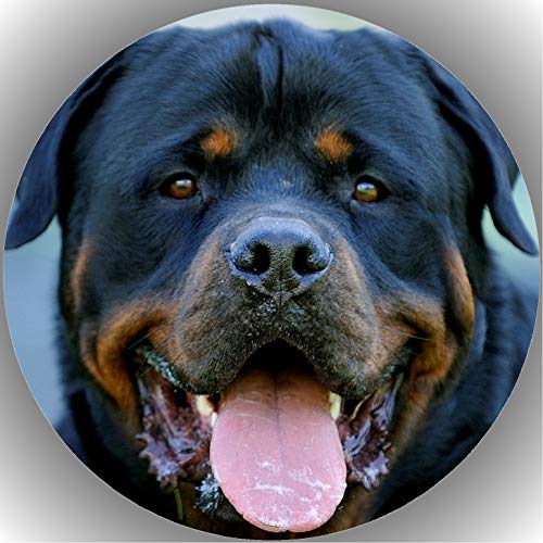 Premium Esspapier Oblate Tortenbild, Essbares Foto für Torten, Tortenaufleger Ø 20cm Rottweiler T2 von Shanrya