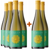 Talis Wine 2023 4+2 Talis Pinot Grigio Friuli DOC von Talis Wine