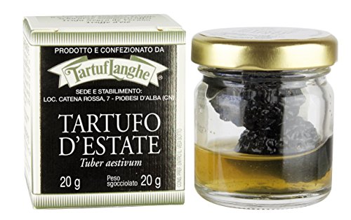 Tartuflanghe - Sommertrüffel (. Tuber aestivum Vitt) 20g von TartufLanghe