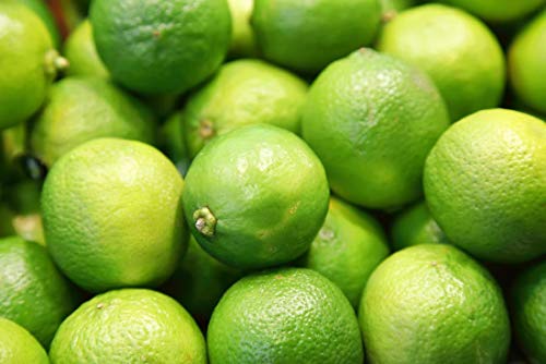 TastePadThai Fresh Key Limes Limes 0,9 kg Organic Premium 3 Pounds Key Limes von TastePadThai