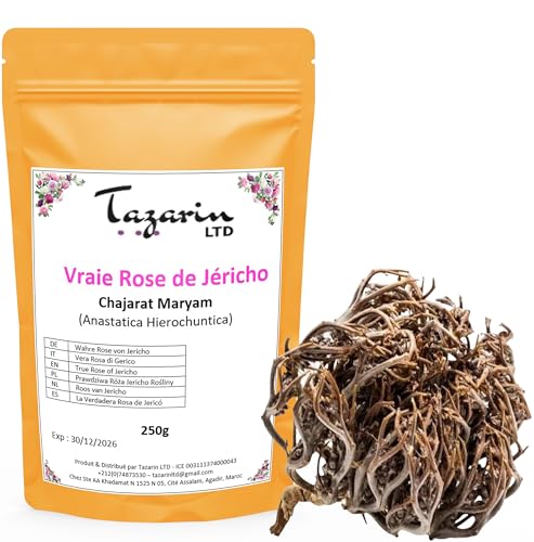 250g Rose von Jericho - Chajarat Mariam - Pflanze, die Fruchtbarkeit Fördert - Ungefähr 25 Stück - Anastatica Hierochuntica - 100% Natürlich, Rein und Ohne Zusatzstoffe - Premium-Qualität von Tazarin LTD