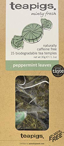 Teapigs Pfefferminz Kräuterteebeutel mit Ganzen Blättern (1 Packung mit 15 Teebeuteln) von Teapigs