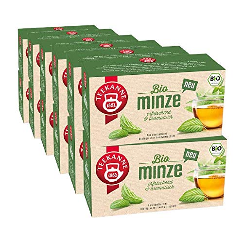 Teekanne Bio Minze, 12er Pack von Teekanne