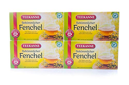 Teekanne Fenchel 40 Beutel, 12er Pack (12 x 120 g) von Teekanne