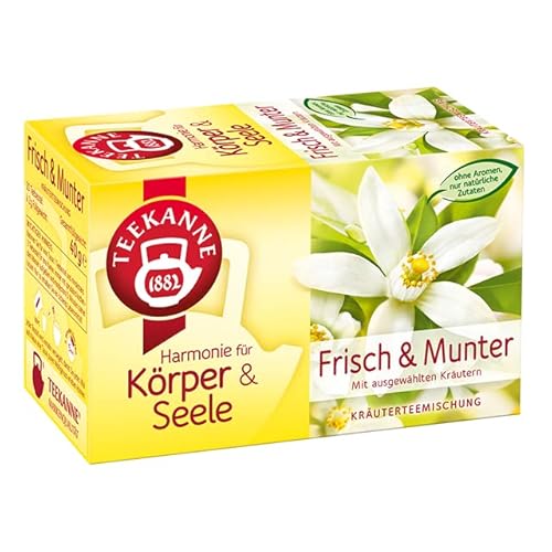 Teekanne Harmonie für Körper & Seele Bio Frisch & Munter, 10er Pack (18 x 10) von Teekanne