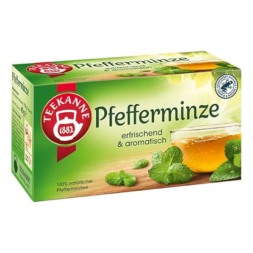 Teekanne Pfefferminze 12er Pack von Teekanne