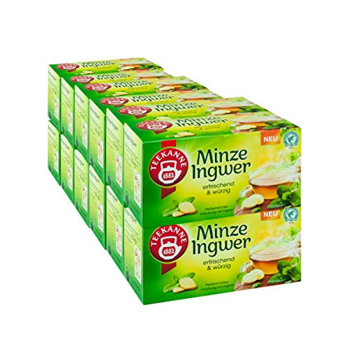 Teekanne Minze Ingwer, 12er Pack von Teekanne